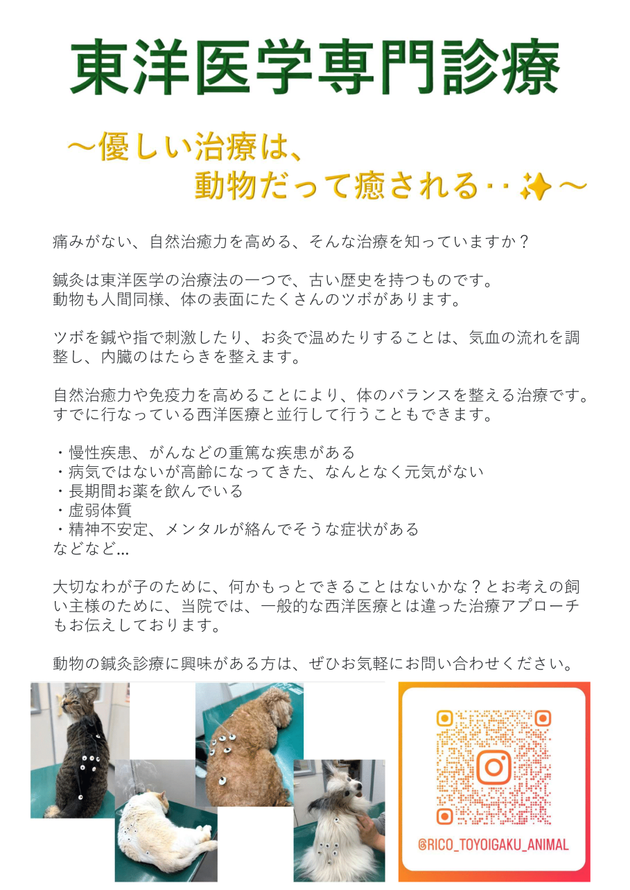 東洋医学 鍼灸診療について